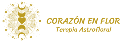 Corazón Astro Floral